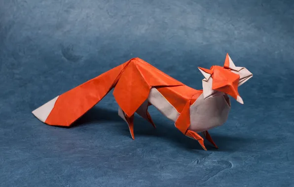 Picture paper, predator, origami, Fox