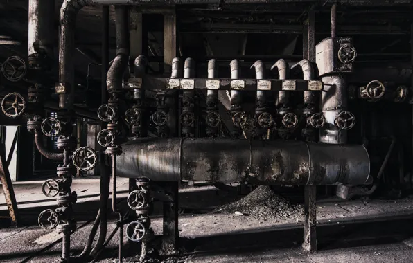 Macro, background, Prototype V8