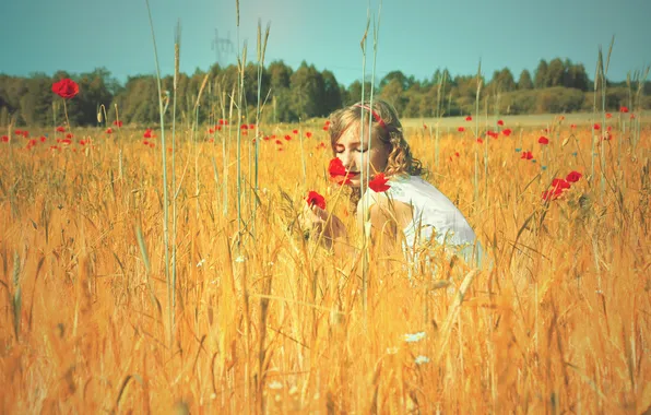 Picture field, summer, the sky, girl, the sun, flowers, nature, heat