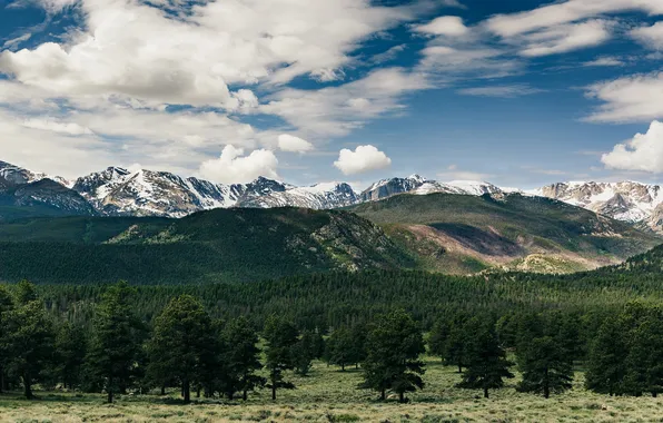 The sky, clouds, trees, mountains, Colorado, pine, Rocky mountains, United States
