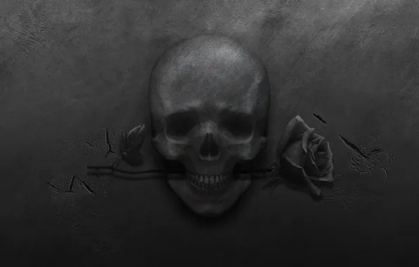 Picture metal, cracked, rose, skull, black background