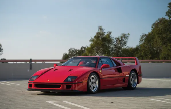 Red, F40, Parking, Trees