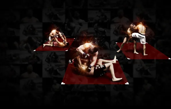 Picture fighters, mma, Champions, ufc, fighters, mixed martial arts, georges st-pierre, brock lesnar