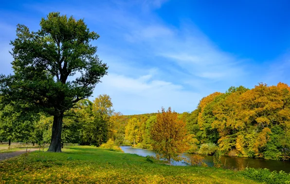 Autumn, the sky, trees, river