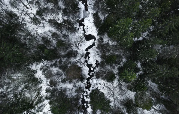 Winter, forest, snow, trees, landscape, nature, river, the view from the top