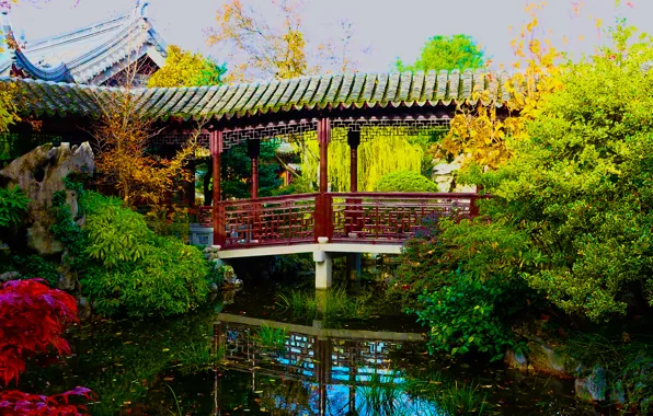 Picture greens, bridge, pond, garden, USA, the bushes, Oregon, Portland