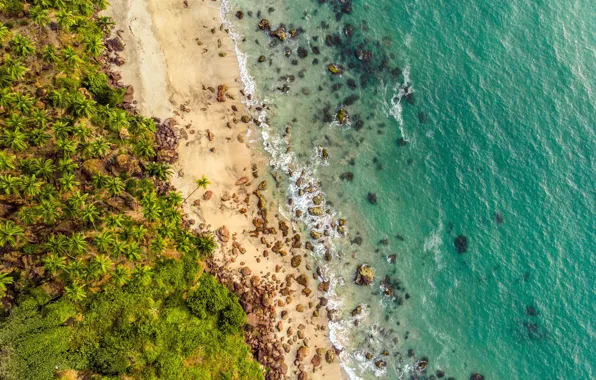 Picture waves, beach, rocks, sand, tide, tropical, aerial view