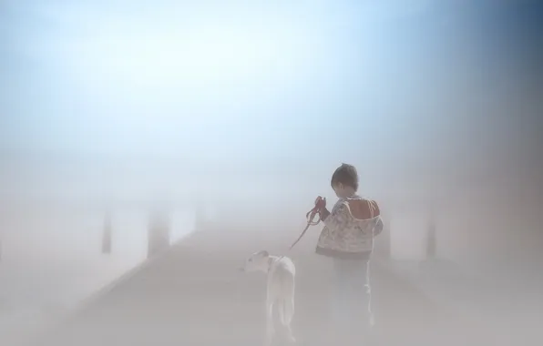 Picture fog, dog, boy