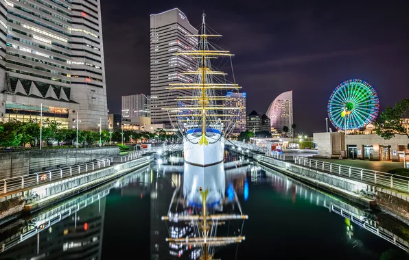 Night, lights, ship, home, Japan, Tokyo, channel, Nippon-maru