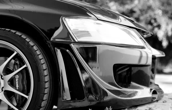 Black and white, headlight, wheel