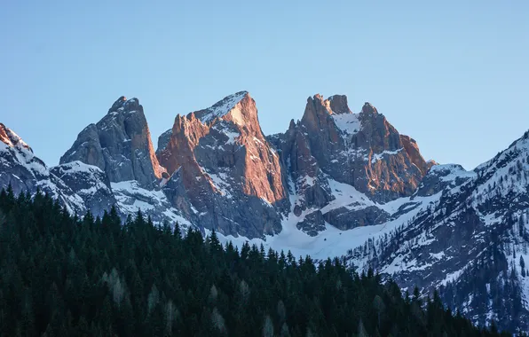 Forest, the sky, landscape, mountains, Italy, mountain peaks