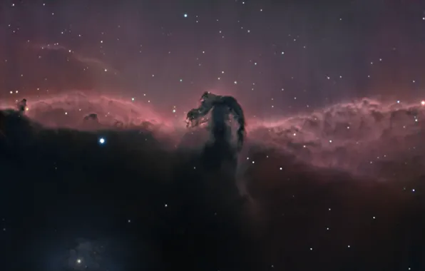 orion horsehead nebula for desktop