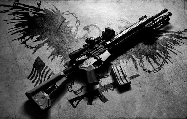 Picture background, rifle, carabiner, assault, semi-automatic