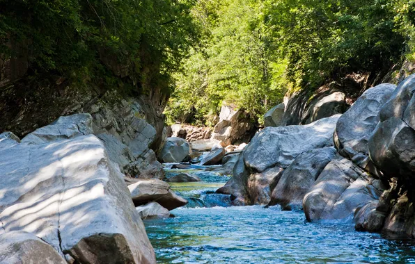 Picture forest, stream, stones, Switzerland, Verzasca Valley