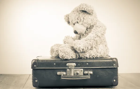 Picture sadness, loneliness, toy, bear, bear, suitcase, toy, bear