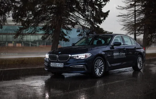 Car, machine, auto, city, fog, race, bmw, BMW