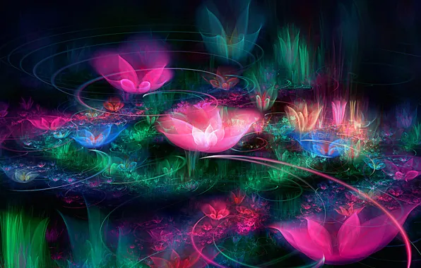 Picture water, rays, light, line, flowers