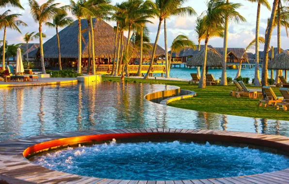 Picture palm trees, the ocean, pool, Bungalow