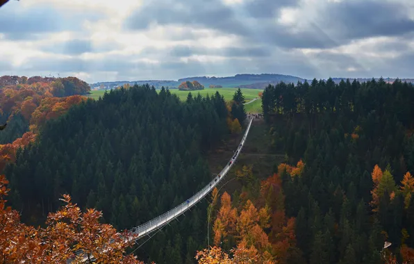 Germany, suspension bridge, Geierlay, Rhineland-Palatinate