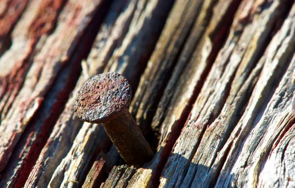 Picture macro, Board, nails