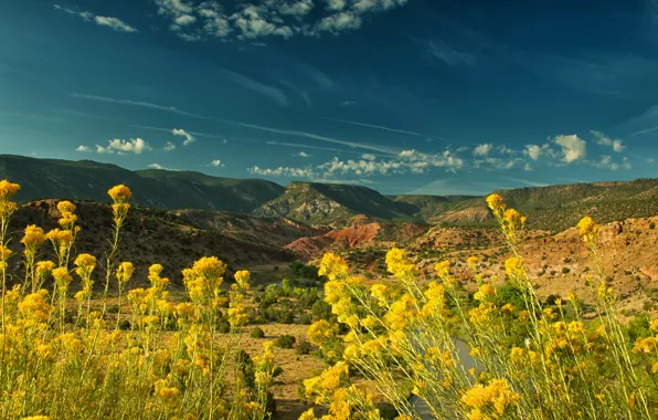 The sky, the sun, flowers, mountains, yellow, river, valley, USA