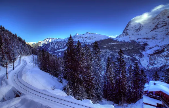 Winter, snow, trees, mountains, nature, Switzerland, ate, Alps