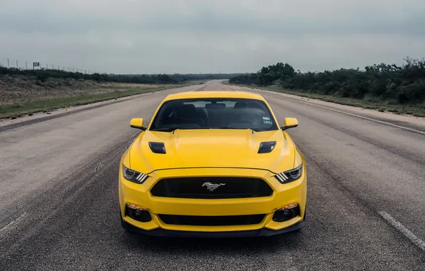 Mustang, Ford, Mustang, Ford, Hennessey, Supercharged, 2015, HPE750