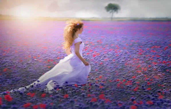 Field, girl, flowers