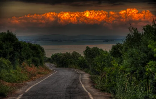 Road, sea, the sky, clouds, trees, the evening, road, sky