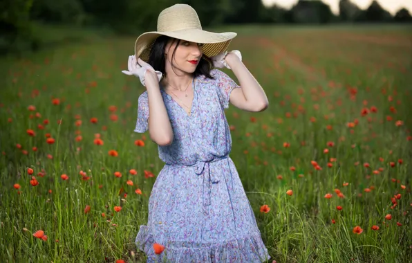 Picture field, look, girl, Maki, hat, dress, Melanie