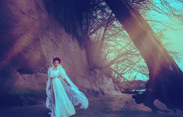 Wallpaper girl, tree, dress, Stephanie Miller images for desktop