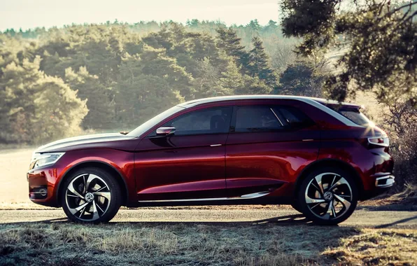 Concept, Citroën, the concept, side view, Citroen, Wild Rubis