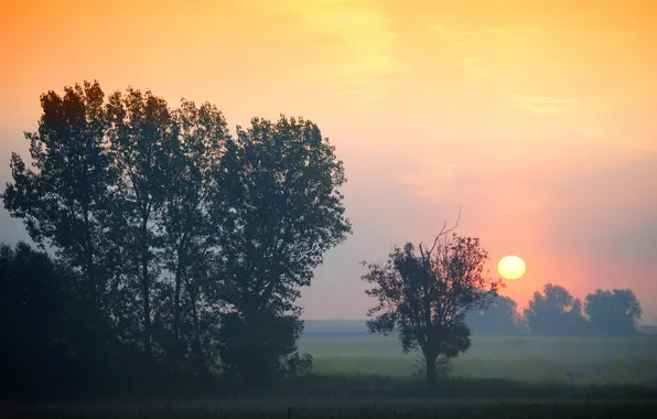 Picture autumn, the sky, sunset, disk