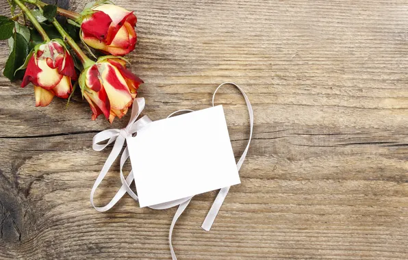 Roses, wood, flowers, postcard, bouquet, roses