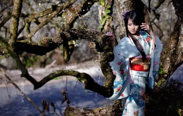 Picture girl, trees, Japan, kimono