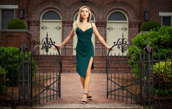 Picture girl, gate, Celena