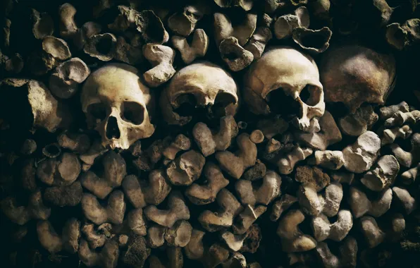 Background, skull, bones