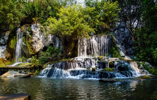 Forest, trees, river, stones, waterfall, cascade