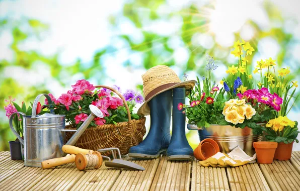 Picture the sun, rays, flowers, background, basket, hat, boots, garden