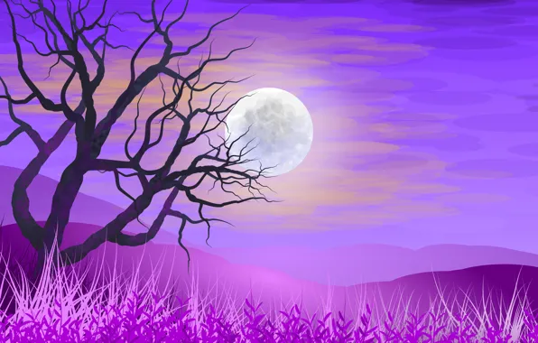 Picture the sky, grass, tree, The moon, vector graphics