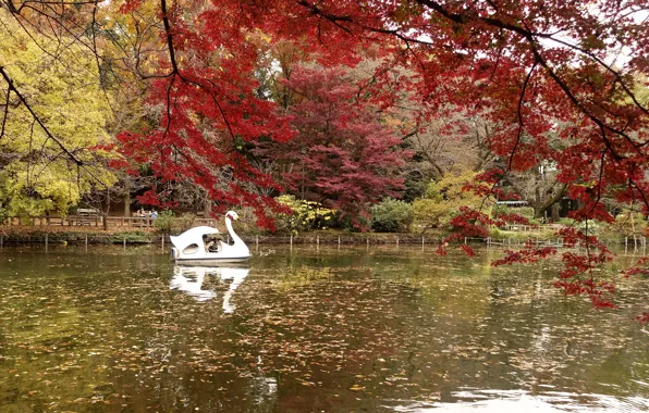 Nature, Autumn, Lake, Japan, Tokyo, Park, Japan, Nature