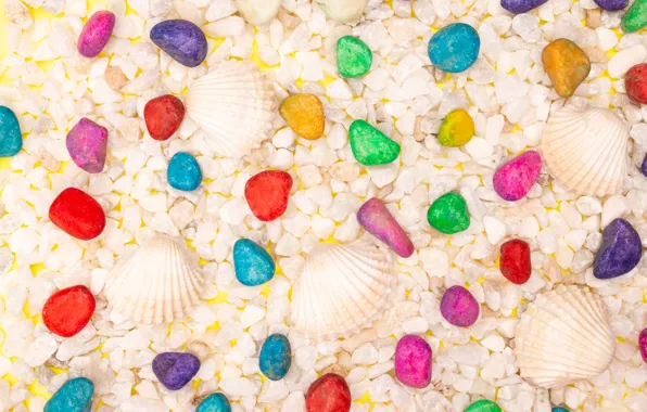 Pebbles, background, texture, shell, light background, colorful, items, a lot