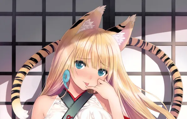 Picture tail, blue eyes, tigress, ears, art, shining hearts, tony taka, rouna marasame