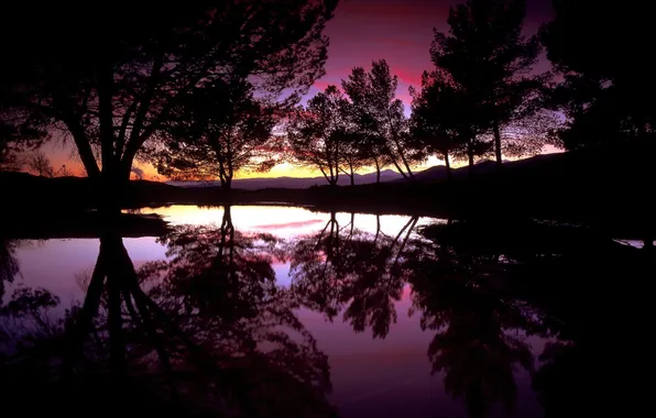 Picture water, trees, sunset, lake, reflection, the evening, silhouettes