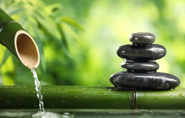 Water, stones, stems, calm, bamboo, blur, green, harmony