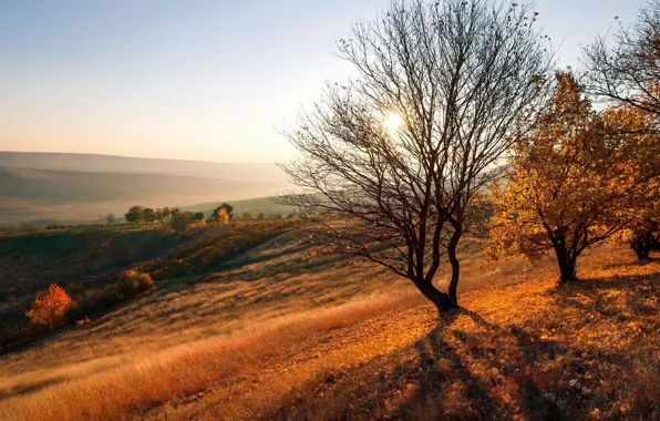 Sunset, Autumn, Moldova