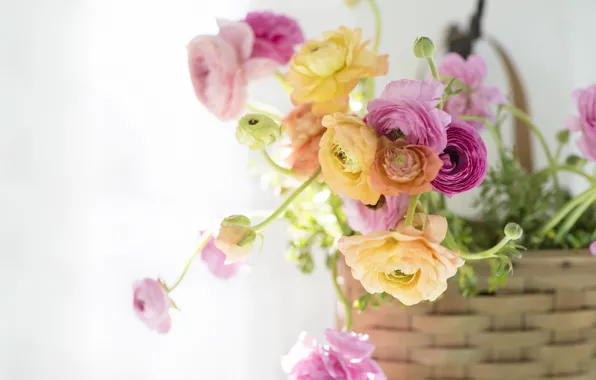 Flowers, bouquet, basket, Ranunculus, Asian Buttercup