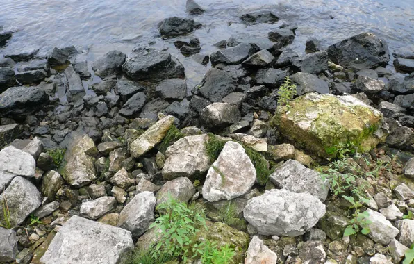Stones, shore, Water