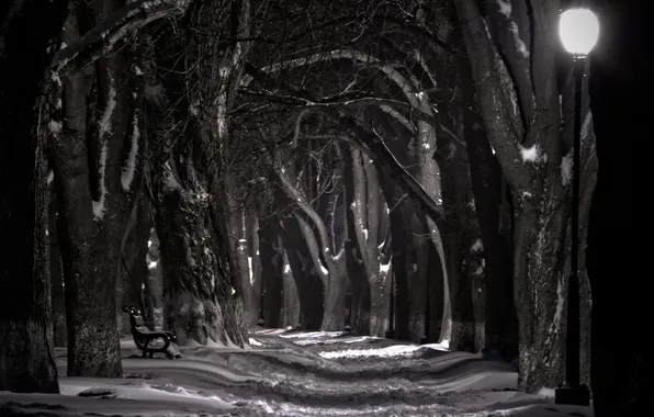 Snow, night, shop, lantern, promenade, black and white