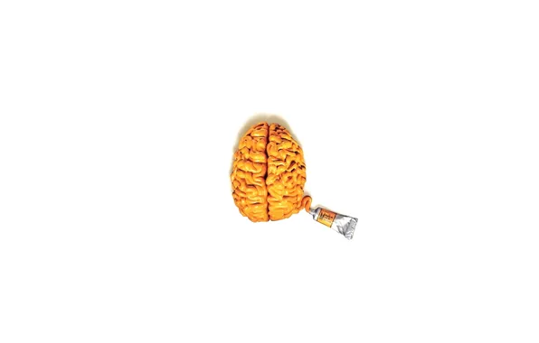 Picture BACKGROUND, WHITE, CONTENT, TUBE, BRAINS